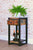 Urban Chic Plant Stand/Lamp Table