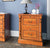 La Reine Mahogany Two Drawer Filing Cabinet